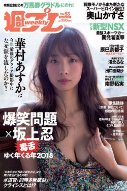 宠灵实验室之狸奴艾莉